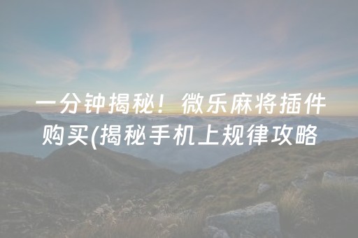 一分钟揭秘！微乐麻将插件购买(揭秘手机上规律攻略)