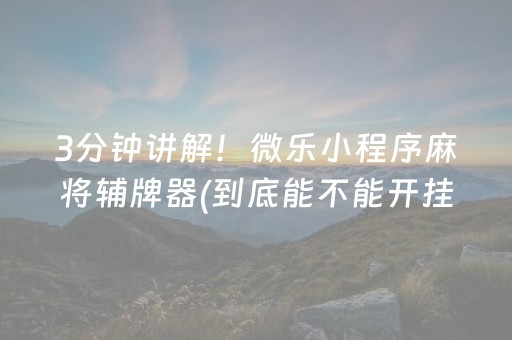 3分钟讲解！微乐小程序麻将辅牌器(到底能不能开挂)