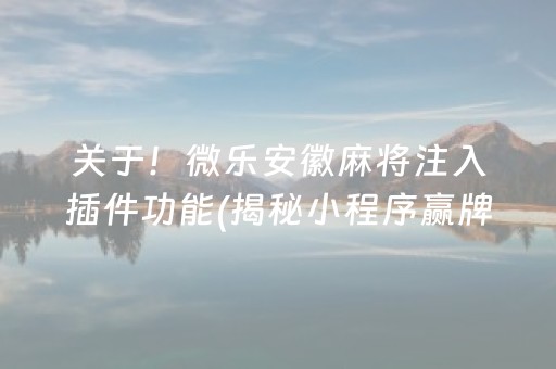 关于！微乐安徽麻将注入插件功能(揭秘小程序赢牌技巧)