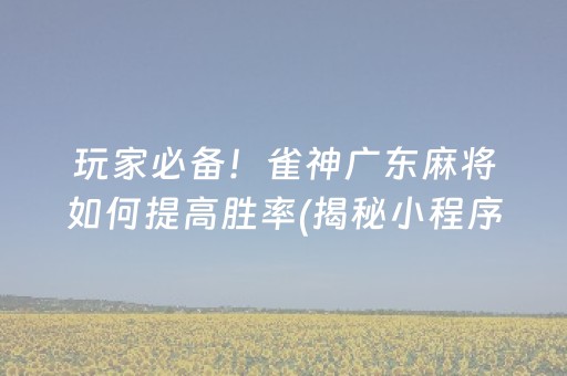 玩家必备！雀神广东麻将如何提高胜率(揭秘小程序提高赢的概率)