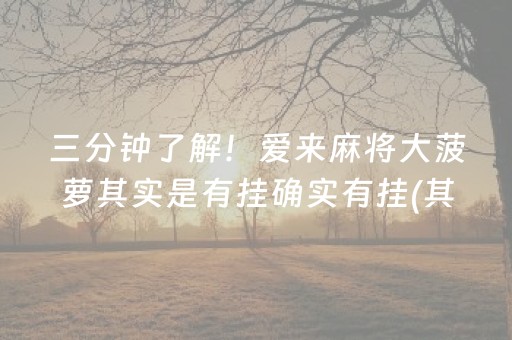 三分钟了解！爱来麻将大菠萝其实是有挂确实有挂(其实确实有挂)