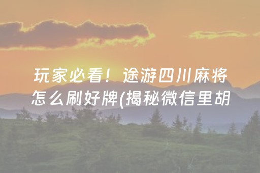 玩家必看！途游四川麻将怎么刷好牌(揭秘微信里胡牌神器)