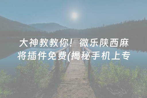 大神教教你！微乐陕西麻将插件免费(揭秘手机上专用神器)