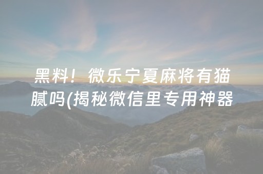 黑料！微乐宁夏麻将有猫腻吗(揭秘微信里专用神器)