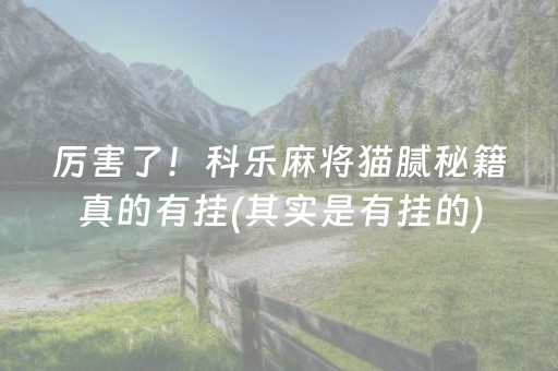 厉害了！科乐麻将猫腻秘籍真的有挂(其实是有挂的)