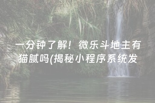 一分钟了解！微乐斗地主有猫腻吗(揭秘小程序系统发好牌)