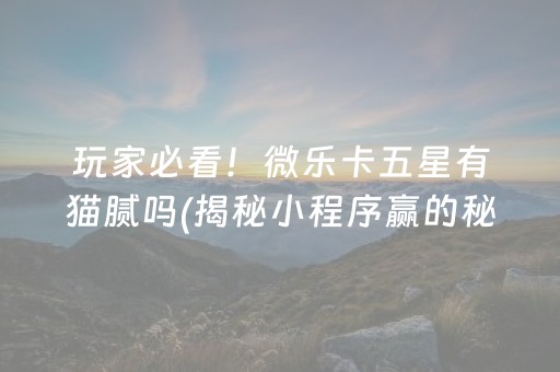 玩家必看！微乐卡五星有猫腻吗(揭秘小程序赢的秘诀)