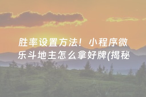 胜率设置方法！小程序微乐斗地主怎么拿好牌(揭秘小程序最新神器下载)