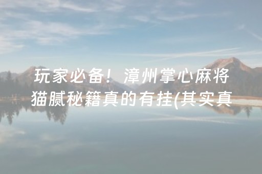 玩家必备！漳州掌心麻将猫腻秘籍真的有挂(其实真的确实有挂)