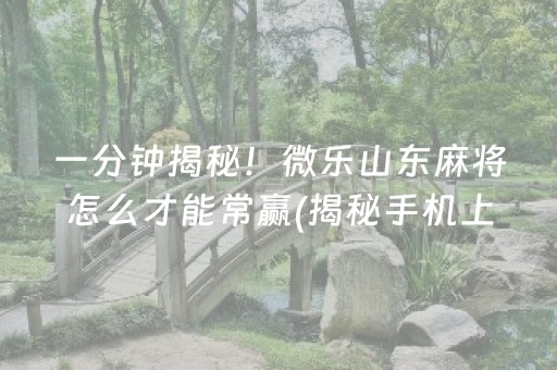一分钟揭秘！微乐山东麻将怎么才能常赢(揭秘手机上提高赢的概率)