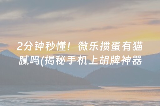 玩家必备十款“微乐山西麻将插件”（插件可信吗)