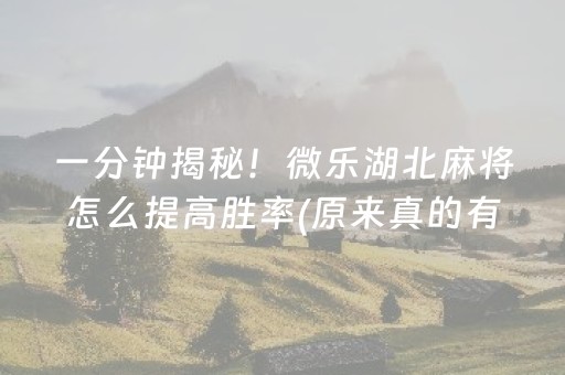 一分钟揭秘！微乐湖北麻将怎么提高胜率(原来真的有挂)