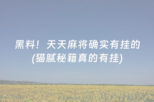 黑料！天天麻将确实有挂的(猫腻秘籍真的有挂)