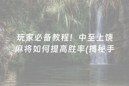 玩家必备教程！中至上饶麻将如何提高胜率(揭秘手机上必备神器)