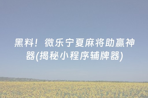 黑料！微乐宁夏麻将助赢神器(揭秘小程序辅牌器)