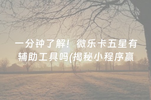 一分钟了解！微乐卡五星有辅助工具吗(揭秘小程序赢牌的技巧)