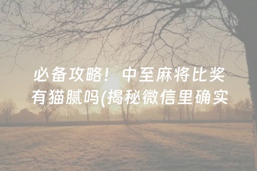 必备攻略！中至麻将比奖有猫腻吗(揭秘微信里确实有猫腻)