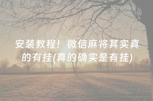 安装教程！微信麻将其实真的有挂(真的确实是有挂)