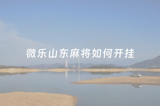微乐山东麻将如何开挂（微乐山东麻将开挂器通用版）