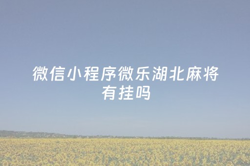 微信小程序微乐湖北麻将有挂吗（微乐湖北麻将怎么提高胜率）
