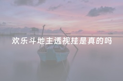 欢乐斗地主透视挂是真的吗（欢乐斗地主透视卡盟）