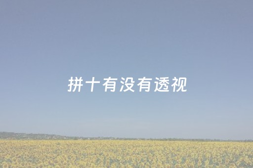 拼十有没有透视（拼多多店透视在哪里）