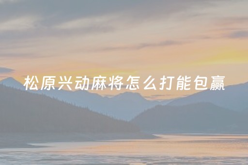 松原兴动麻将怎么打能包赢（兴动开原麻将）