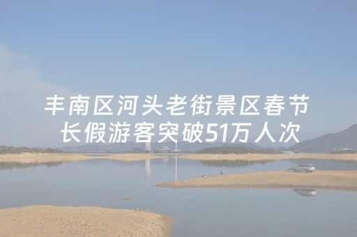 丰南区河头老街景区春节 长假游客突破51万人次