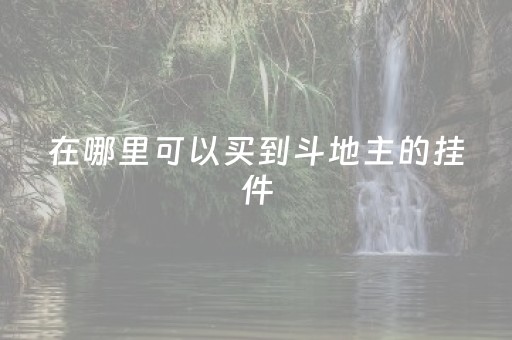 在哪里可以买到斗地主的挂件（哪里可以买欢乐斗地主的豆子）