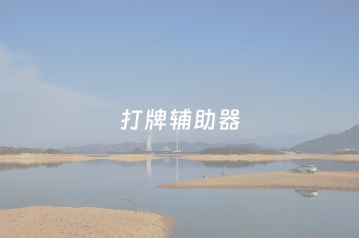 打牌辅助器（自动打牌辅助）