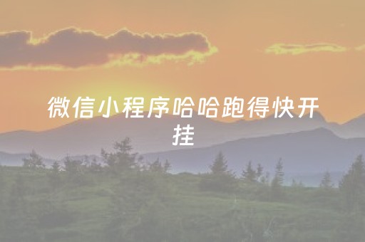 微信小程序哈哈跑得快开挂（微信哈哈跑得快怎么开挂）