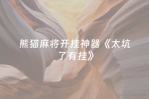 熊猫麻将开挂神器《太坑了有挂》（熊猫麻将现在出了一个破解挂）