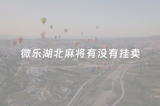 微乐湖北麻将有没有挂卖（微乐湖北麻将怎么开挂）