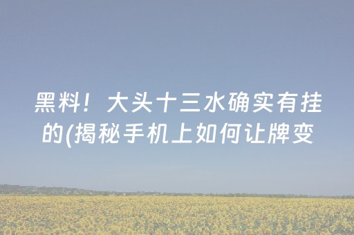 黑料！大头十三水确实有挂的(揭秘手机上如何让牌变好)