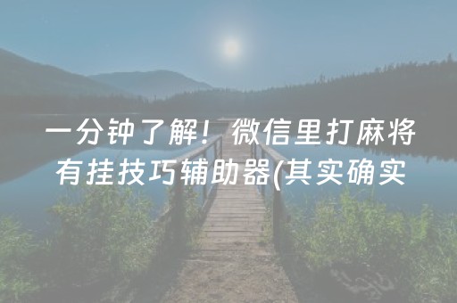 一分钟了解！微信里打麻将有挂技巧辅助器(其实确实有挂)