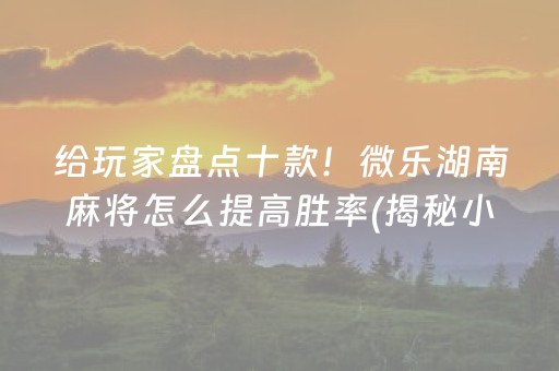 给玩家盘点十款！微乐湖南麻将怎么提高胜率(揭秘小程序如何让牌变好)