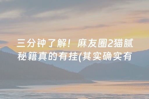三分钟了解！麻友圈2猫腻秘籍真的有挂(其实确实有挂)