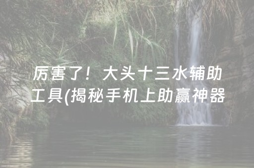 厉害了！大头十三水辅助工具(揭秘手机上助赢神器购买)