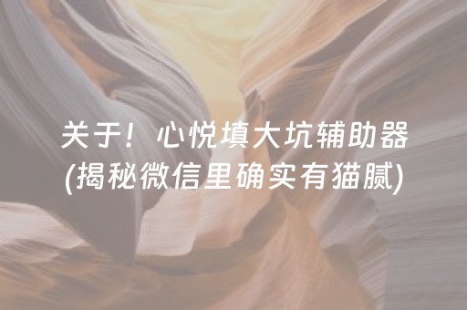 关于！心悦填大坑辅助器(揭秘微信里确实有猫腻)