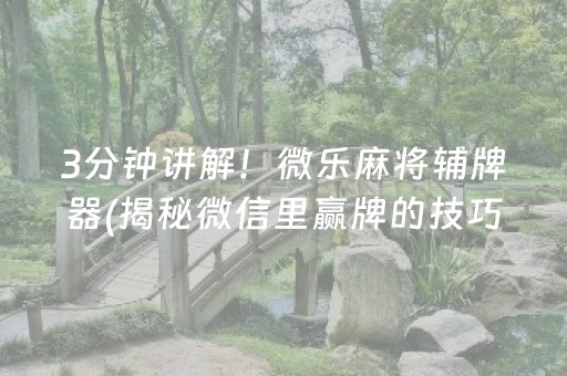 3分钟讲解！微乐麻将辅牌器(揭秘微信里赢牌的技巧)