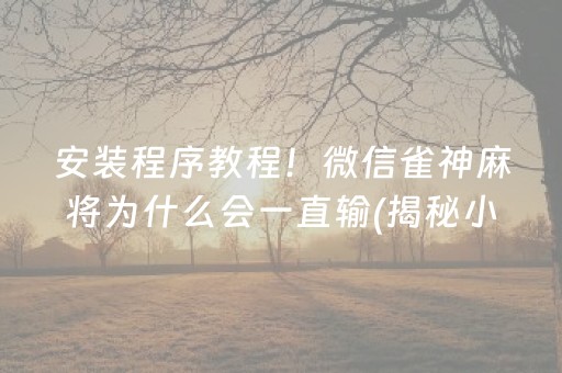 安装程序教程！微信雀神麻将为什么会一直输(揭秘小程序赢的秘诀)