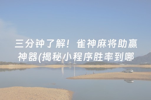 三分钟了解！雀神麻将助赢神器(揭秘小程序胜率到哪调)