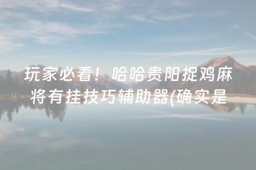 玩家必看！哈哈贵阳捉鸡麻将有挂技巧辅助器(确实是有挂)