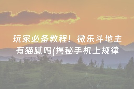 玩家必备教程！微乐斗地主有猫腻吗(揭秘手机上规律攻略)