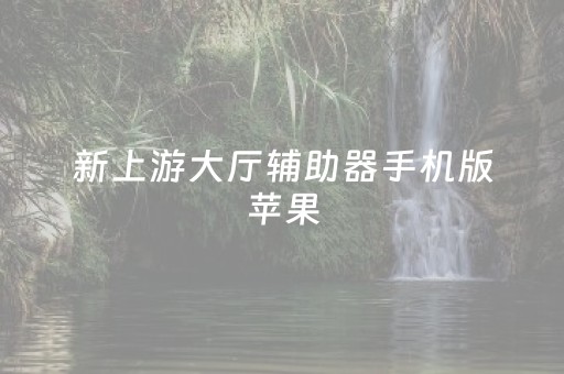 新上游大厅辅助器手机版苹果（新上游开挂）