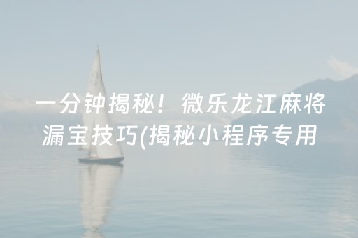 一分钟揭秘！微乐龙江麻将漏宝技巧(揭秘小程序专用神器下载)
