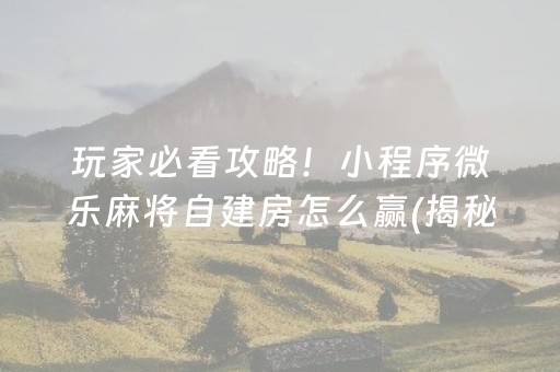 玩家必看攻略！小程序微乐麻将自建房怎么赢(揭秘手机上自建房怎么赢)