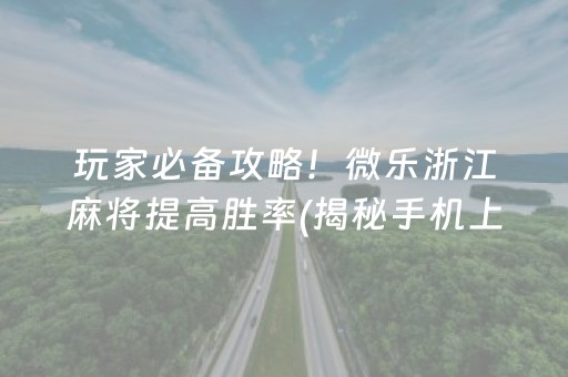 玩家必备攻略！微乐浙江麻将提高胜率(揭秘手机上确实有猫腻)