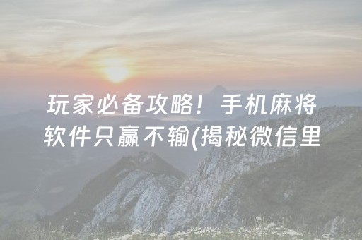 玩家必备攻略！手机麻将软件只赢不输(揭秘微信里胡牌神器)