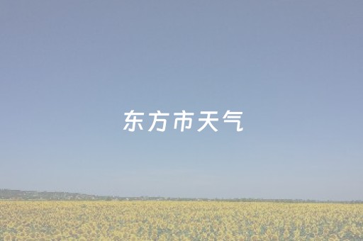 东方市天气（东方市天气预报）